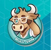 BULLVPN apk